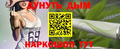 крисы Обь