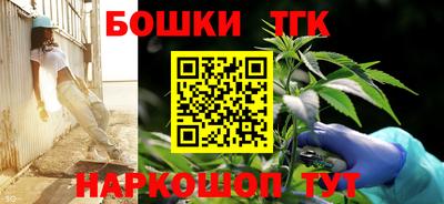 крисы Обь