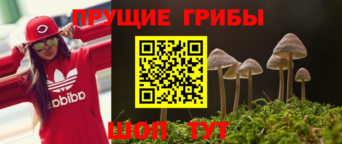 Псилоцибиновые грибы ЛСД Троицк